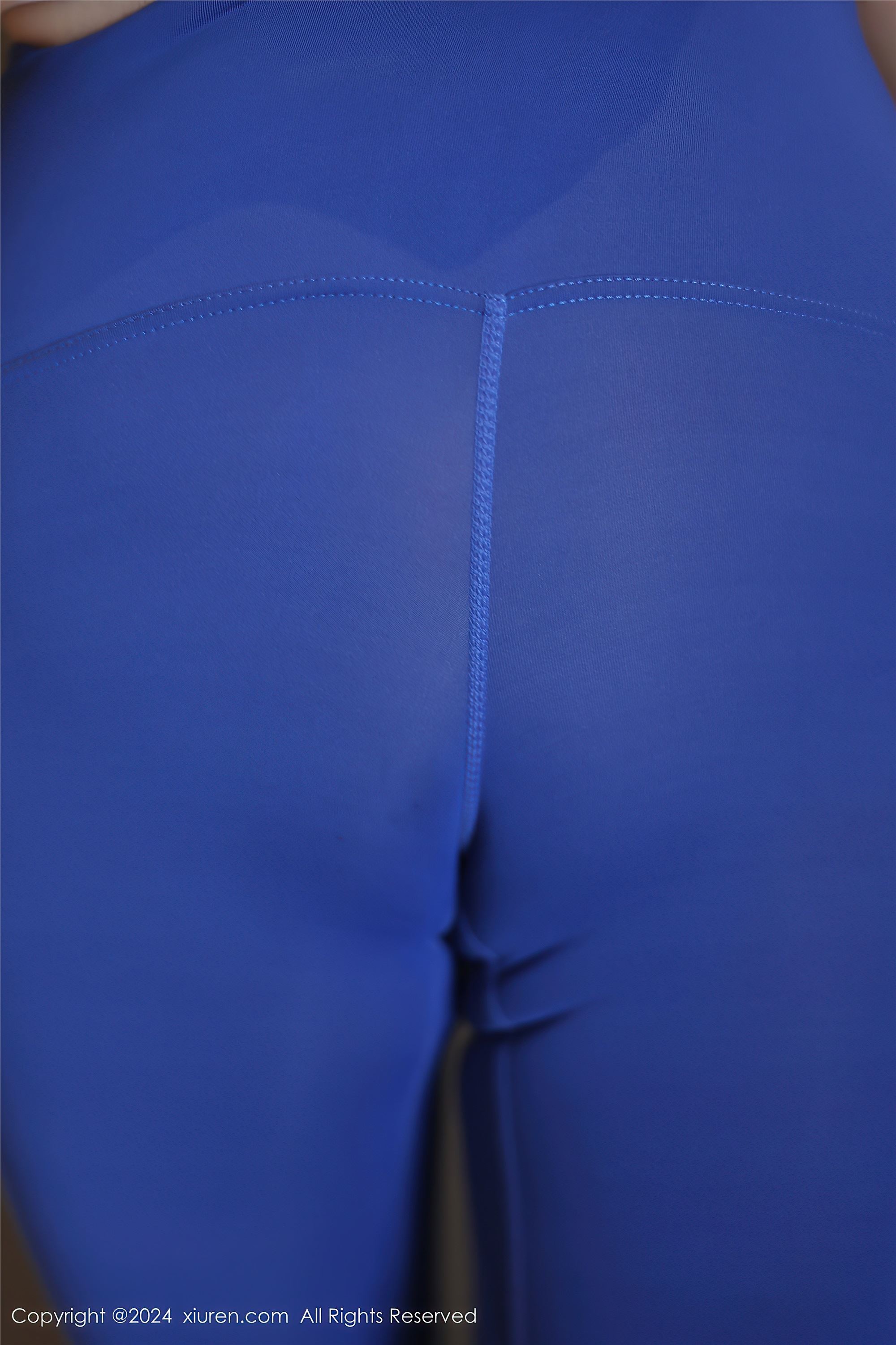 Xiuren秀人网 2024.08.07 NO.8977 吴怡怡